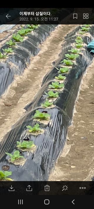 김도강님의 자유주제 · 자유게시판 작성글 사진