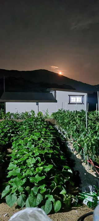 김도강님의 자유주제 · 자유게시판 작성글 사진