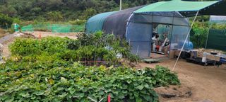 김도강님의 자유주제 · 자유게시판 작성글 사진