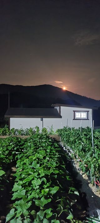 김도강님의 자유주제 · 자유게시판 작성글 사진