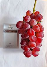 팜모닝 자유주제·사진전 게시글 이미지