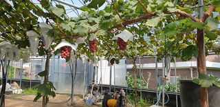 도기백님의 자유주제 · 사진전 작성글 사진