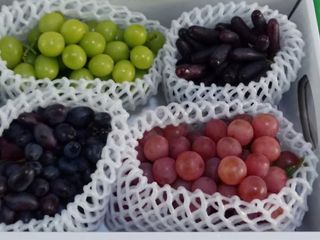 도기백님의 자유주제 · 사진전 작성글 사진