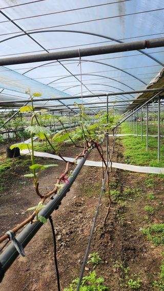 도기백님의 자유주제 · 사진전 작성글 사진