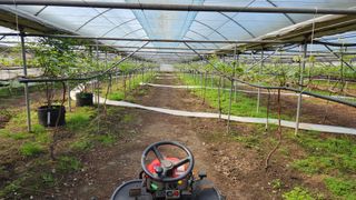 도기백님의 자유주제 · 사진전 작성글 사진