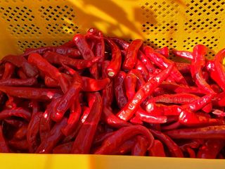 상상그이상님의 농자재정보 · 자유게시판 작성글 사진