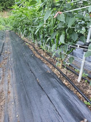 상상그이상님의 농자재정보 · 자유게시판 작성글 사진