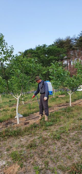 양태식님의 자유주제 · 사진전 작성글 사진