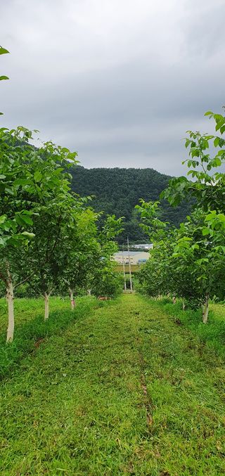 양태식님의 자유주제 · 사진전 작성글 사진
