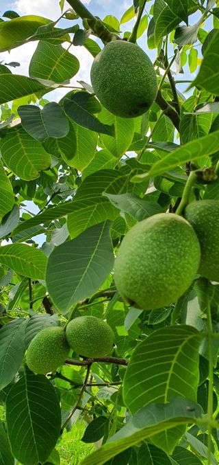 양태식님의 자유주제 · 사진전 작성글 사진