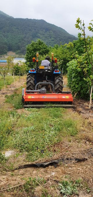 양태식님의 자유주제 · 사진전 작성글 사진