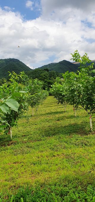 양태식님의 자유주제 · 사진전 작성글 사진