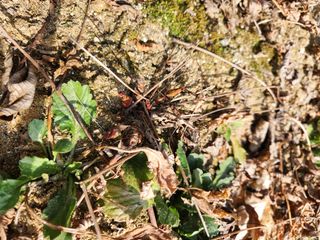 정영진 님의 자유주제 · 사진전 작성글 사진