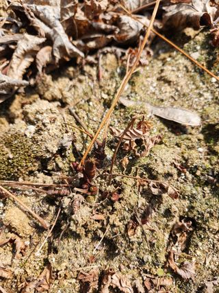 정영진 님의 자유주제 · 사진전 작성글 사진