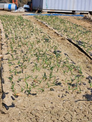 정영진 님의 자유주제 · 사진전 작성글 사진