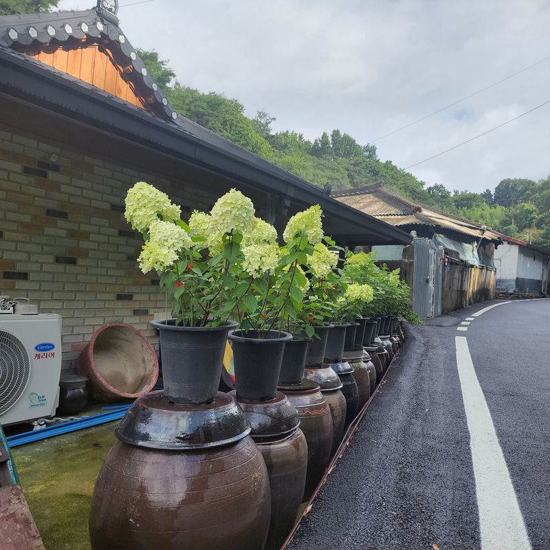 정광일님의 장터 판매 상품 [스위트썸머,앤드리썸머오리지널,LA드림 .....] 첨부 사진