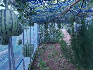 정해인님의 자유주제 · 사진전 작성글 사진