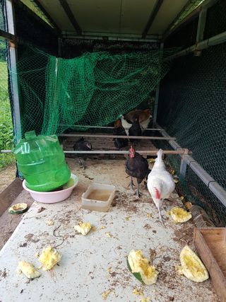 정해인님의 자유주제 · 사진전 작성글 사진