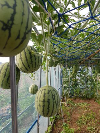 정해인님의 자유주제 · 사진전 작성글 사진