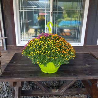 정해인님의 자유주제 · 사진전 작성글 사진