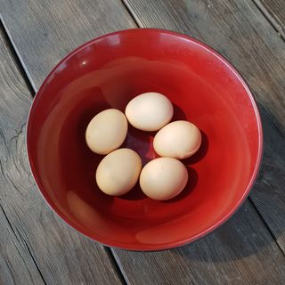 정해인님의 자유주제 · 사진전 작성글 사진