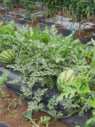 정해인님의 자유주제 · 사진전 작성글 사진