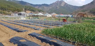 정해인님의 자유주제 · 사진전 작성글 사진