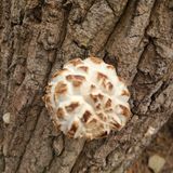 팜모닝 자유주제·자유게시판 게시글 이미지