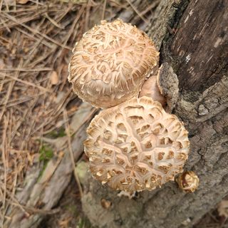 박형준님의 자유주제 · 자유게시판 작성글 사진