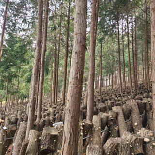 박형준님의 자유주제 · 자유게시판 작성글 사진