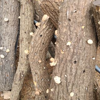 박형준님의 자유주제 · 자유게시판 작성글 사진