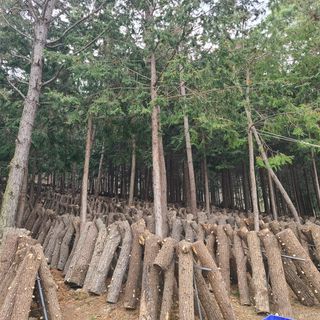 박형준님의 자유주제 · 자유게시판 작성글 사진