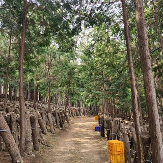 박형준님의 자유주제 · 자유게시판 작성글 사진