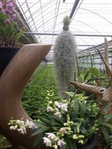 팜모닝 자유주제·사진전 게시글 이미지