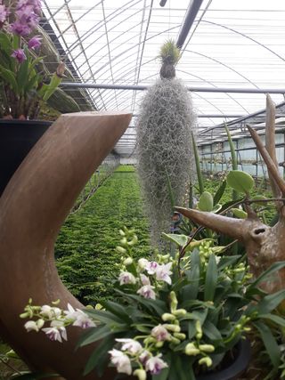 장흥엘림농원의배달기님의 자유주제 · 사진전 작성글 사진