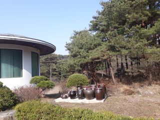 장흥엘림농원의배달기님의 자유주제 · 사진전 작성글 사진