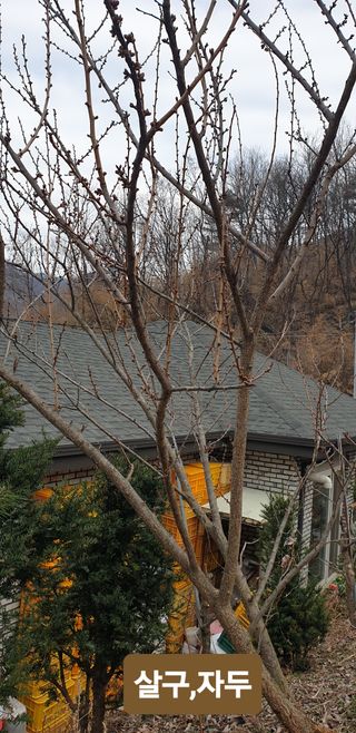 주주농장님의 자유주제 · 사진전 작성글 사진