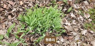 주주농장님의 자유주제 · 사진전 작성글 사진