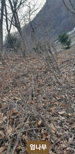 주주농장님의 자유주제 · 사진전 작성글 사진