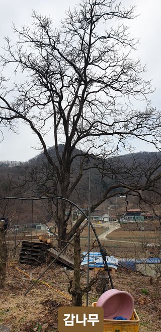 주주농장님의 자유주제 · 사진전 작성글 사진