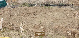 주주농장님의 자유주제 · 사진전 작성글 사진