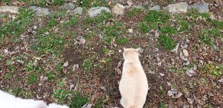 주주농장님의 자유주제 · 사진전 작성글 사진