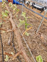 팜모닝 자유주제·사진전 게시글 이미지