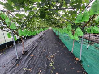 비뉴드 경주님의 자유주제 · 사진전 작성글 사진