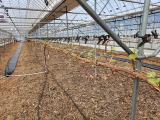 비뉴드 경주님의 자유주제 · 사진전 작성글 사진