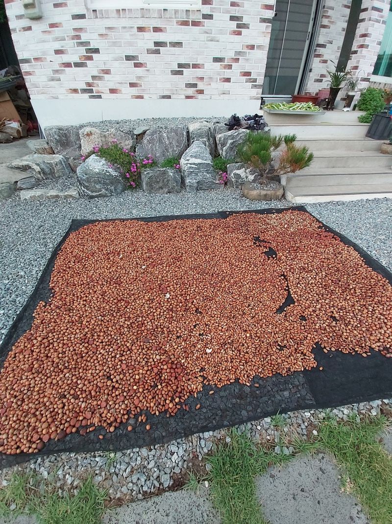 장터 상품 [도토리분말가루] 썸네일