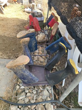 최가농원님의 자유주제 · 사진전 작성글 사진