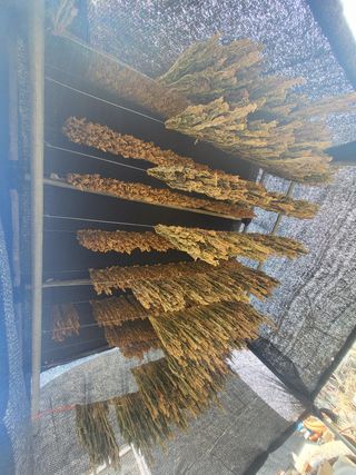 최가농원님의 자유주제 · 사진전 작성글 사진