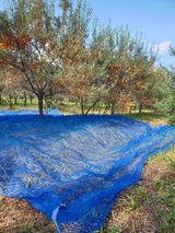 팜모닝 자유주제·자유게시판 게시글 이미지