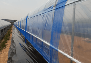 한희숙님의 하우스정보 · 시공사례•후기 작성글 사진